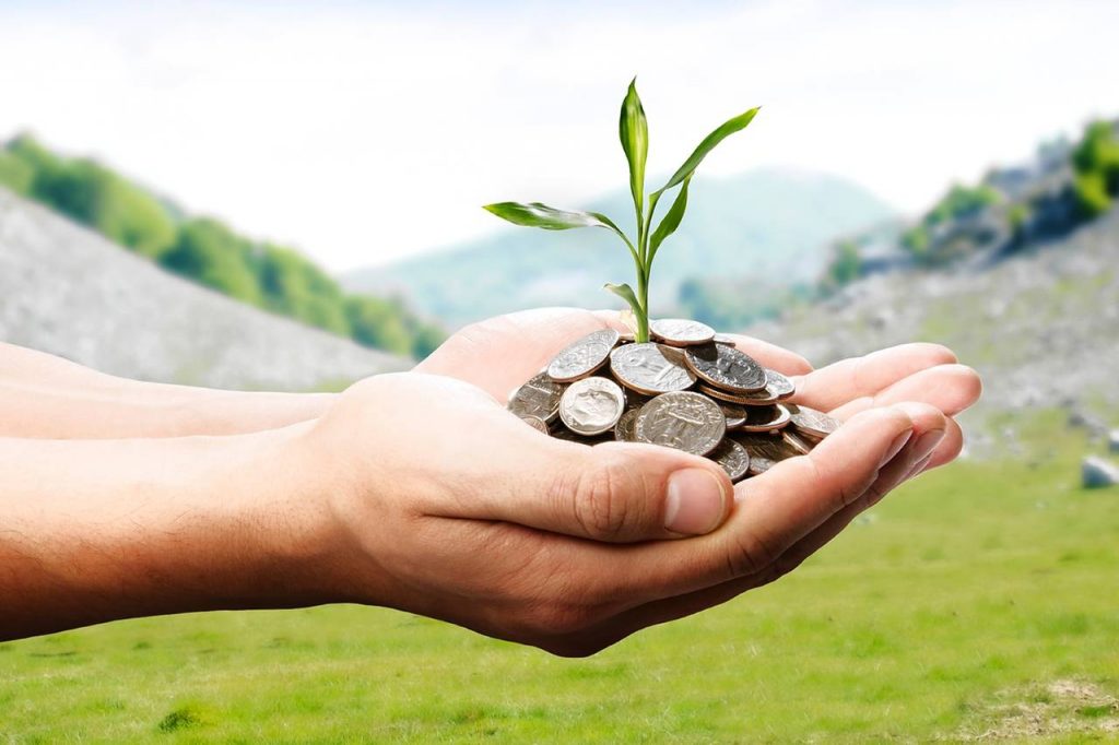 Hand holding coins and plant as a symbol for social innovation